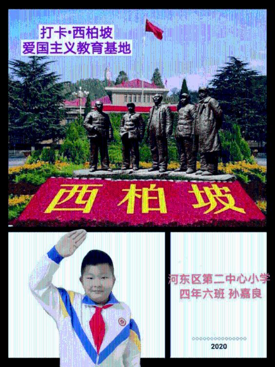 在哪看直播？